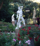Royal Botanic Garden II
